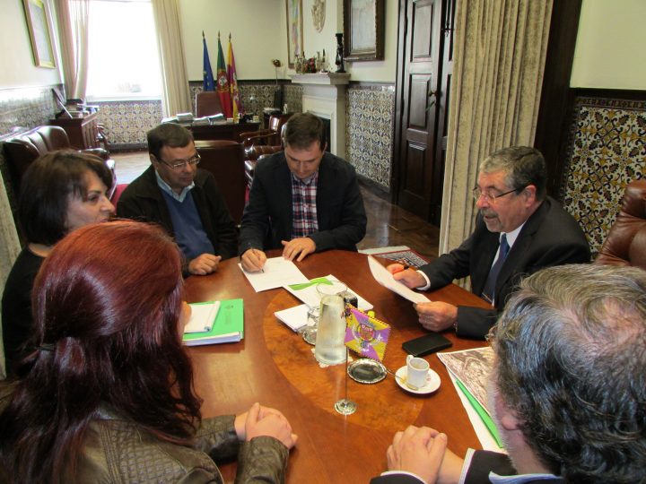 canil_gatil 3 Custom